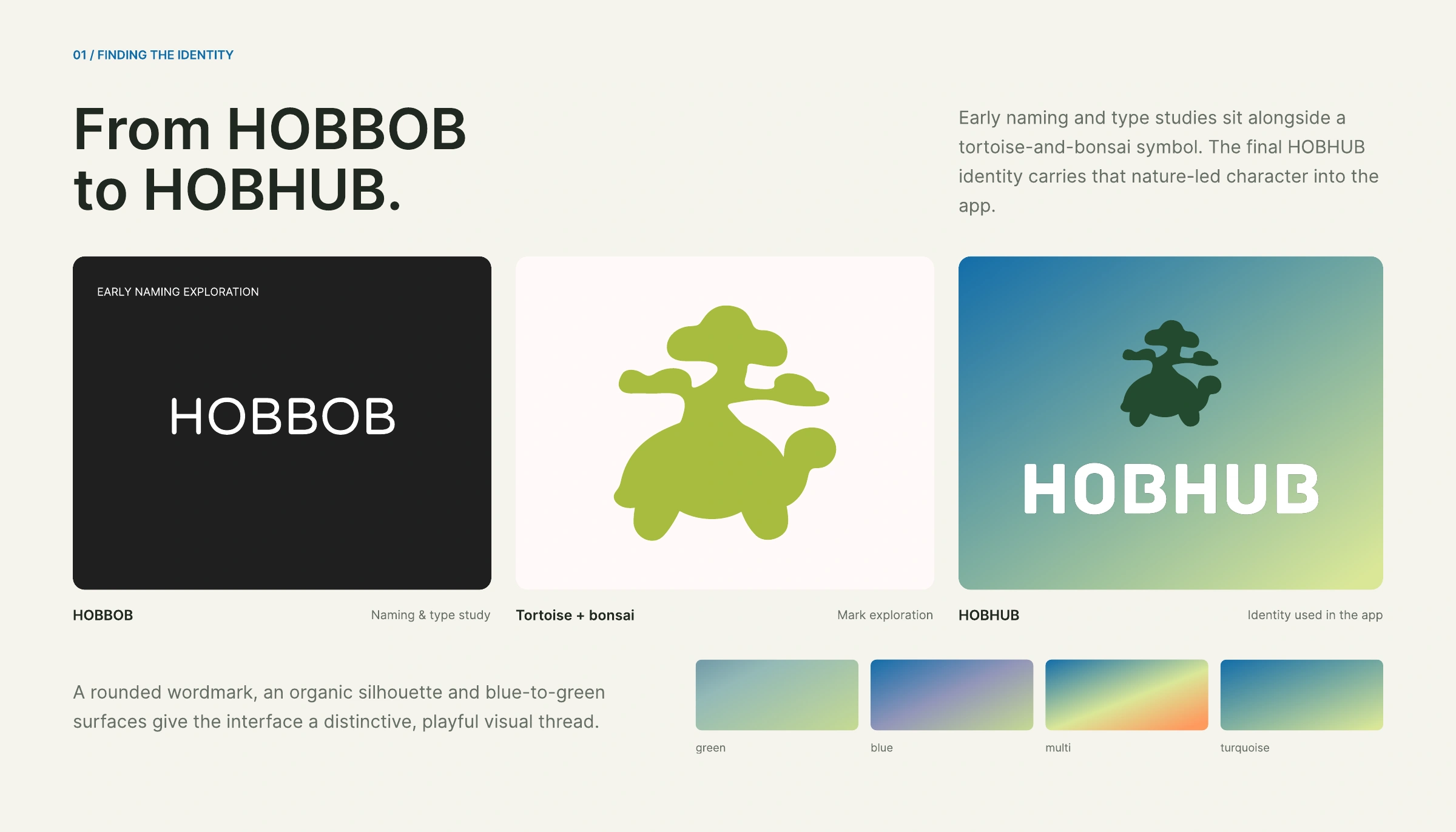 Naming, logo development, and color exploration